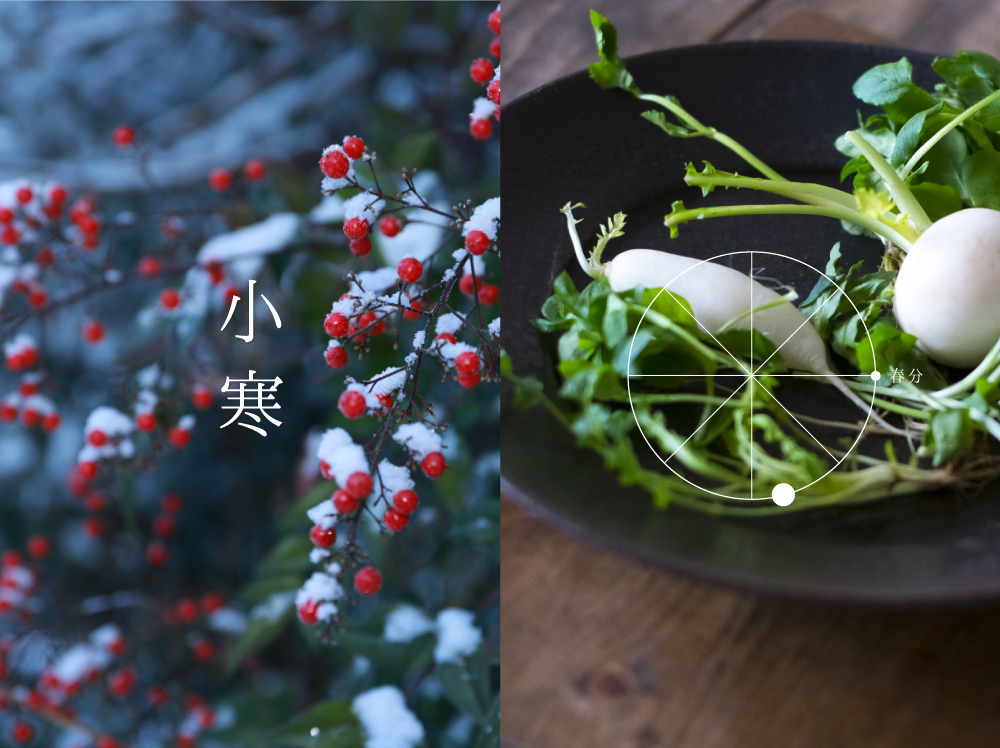 小寒（二十四節気：第23番）