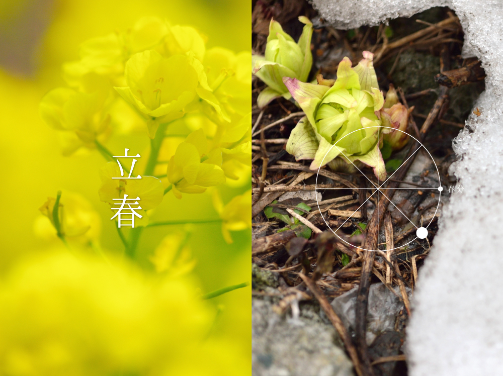 立春（りっしゅん）：二十四節気1番・太陽黄経315°