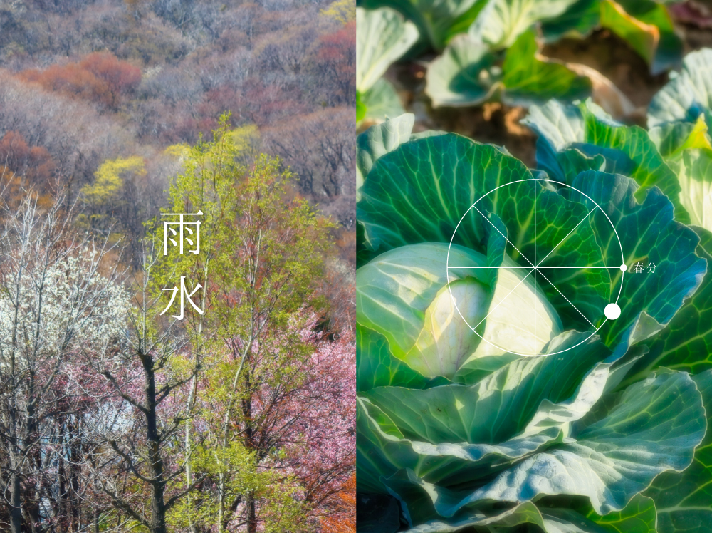 雨水（うすい）：二十四節気2番・太陽黄経330°