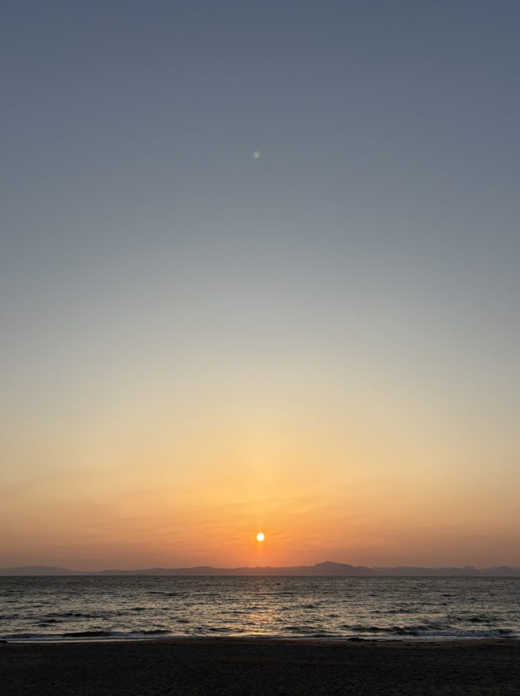 春分から始まる、あたらしい一年へ