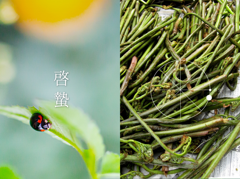 啓蟄（けいちつ）：二十四節気3番・太陽黄経345°