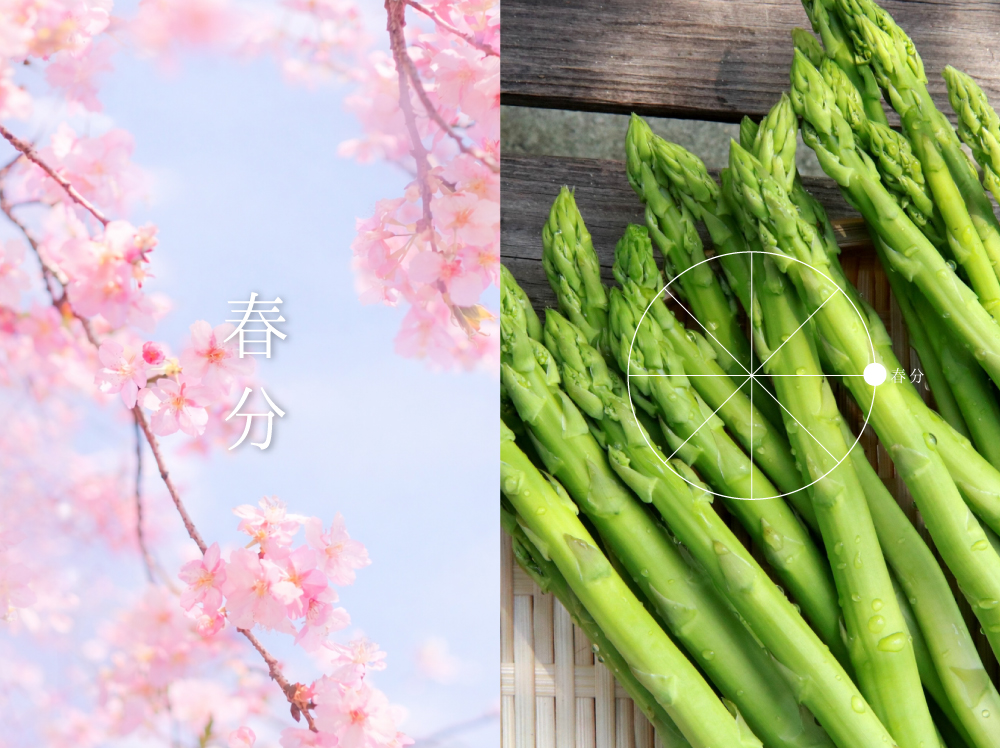 春分（しゅんぶん）：二十四節気4番・太陽黄経0°